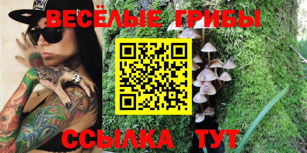 Псилоцибиновые грибы Magic Shrooms  Псилоцибиновые грибы мухоморы  Вход с VPN  Киржач 